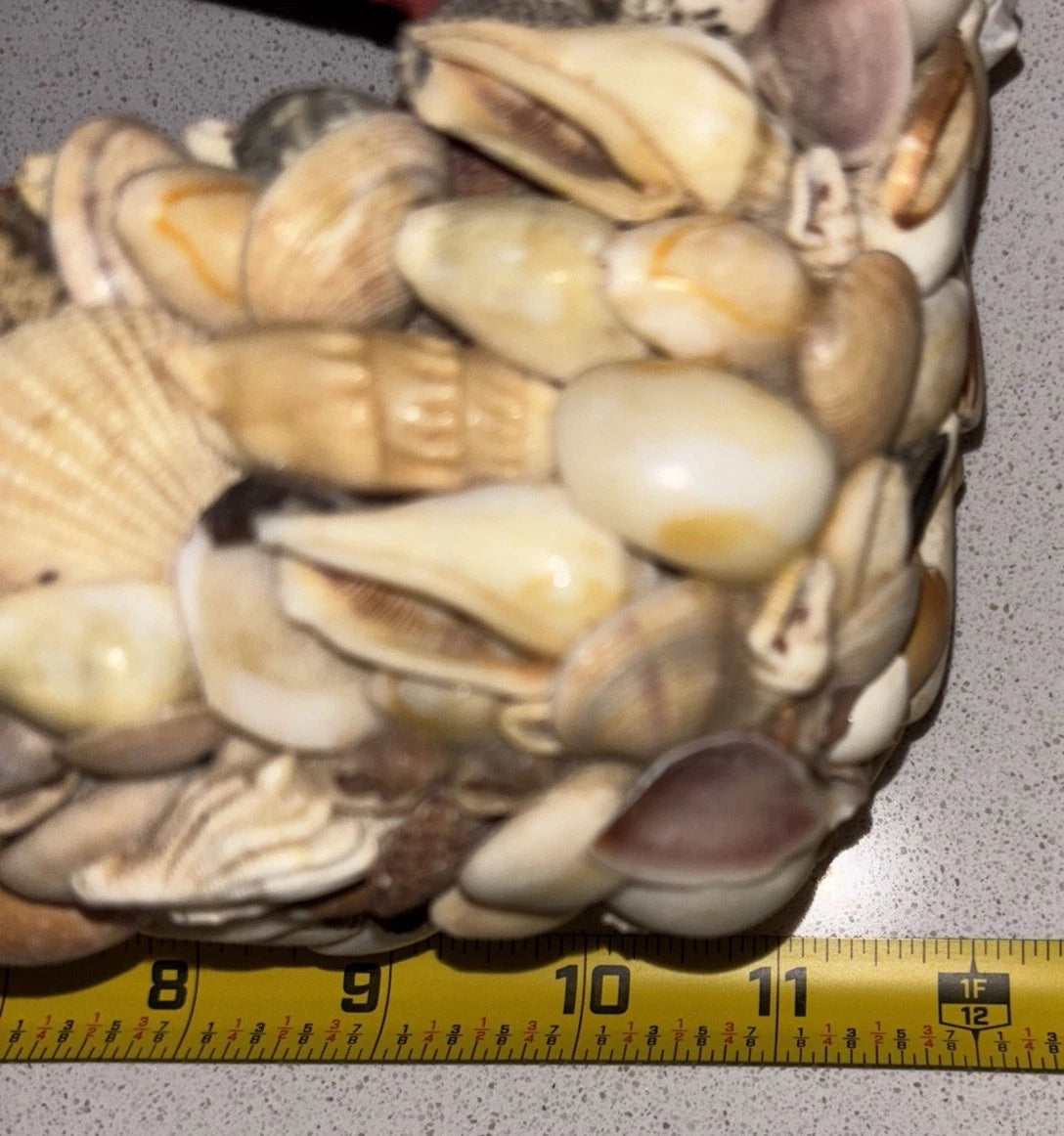 Vintage Seashell Tissue Box Cover Palm Beach Regency | eBay