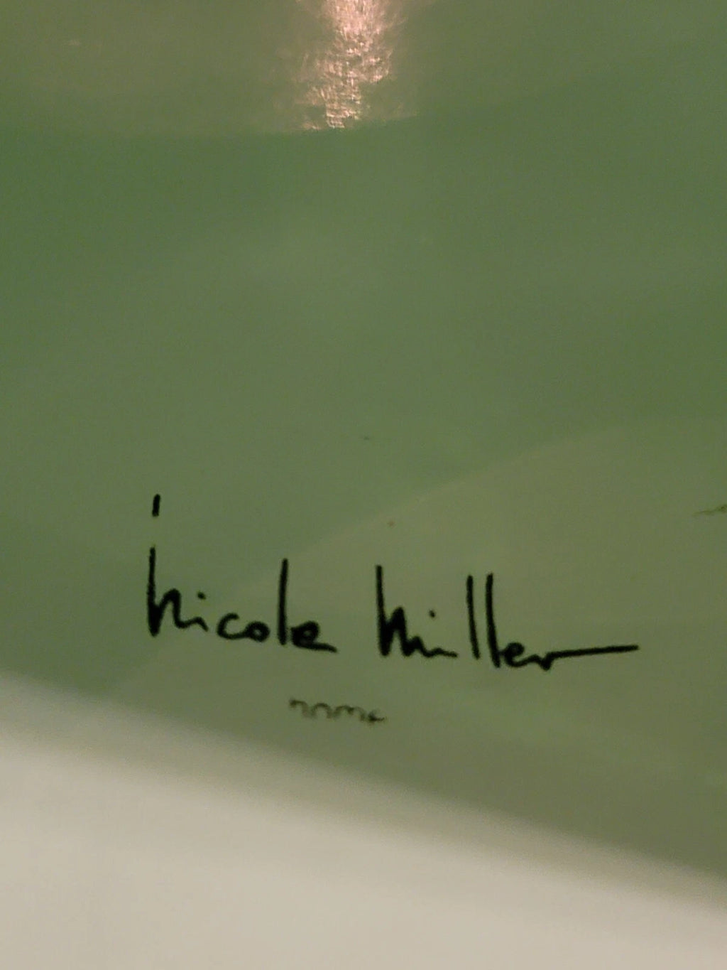 Nicole Miller Home Acrylic Over Mint Green W/Silver Flecks Tissue Box | eBay